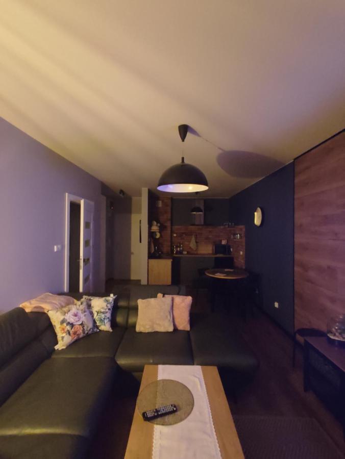 Lux Apartament Odkryj - Bieszczady اوسترزوكي دولن المظهر الخارجي الصورة
